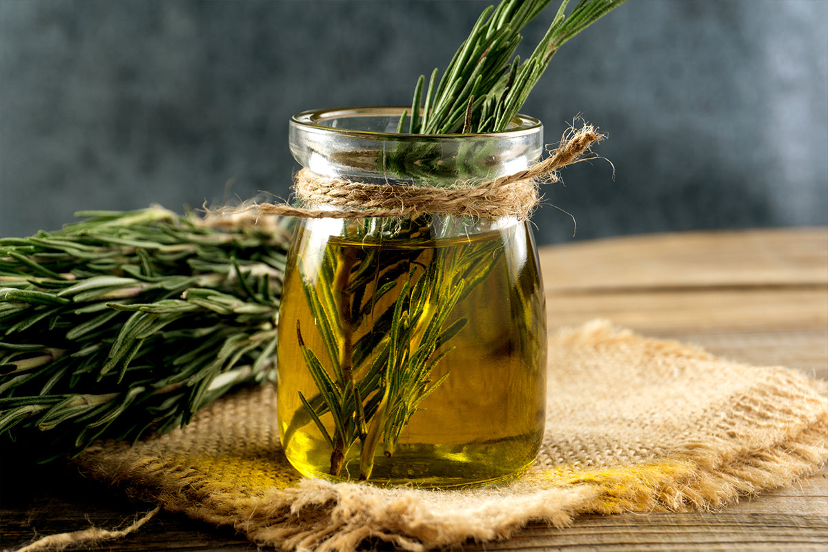 The Truth About Rosemary Oil for Hair Loss: Does It Really Work?