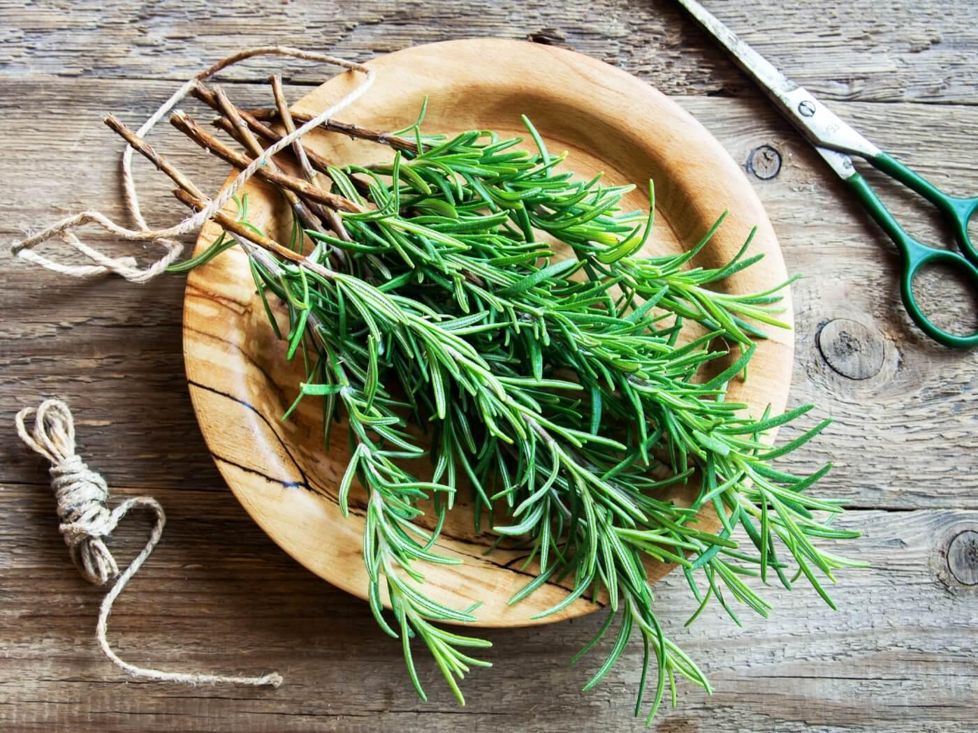 How Does Rosemary and Tea Tree Oil Help with Hair Growth? - OBRO